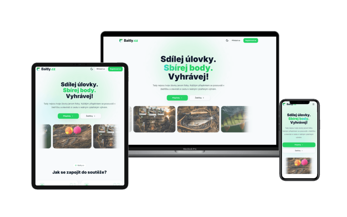Ukážka projektu Baitly.cz
